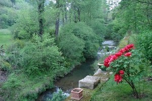 Le jardin